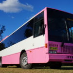 Pink Party Buses