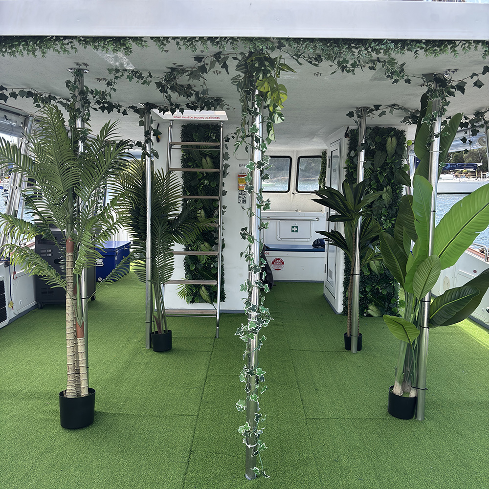 Curious George Boat Sydney 3