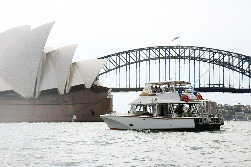 Curious George Boat Sydney 5