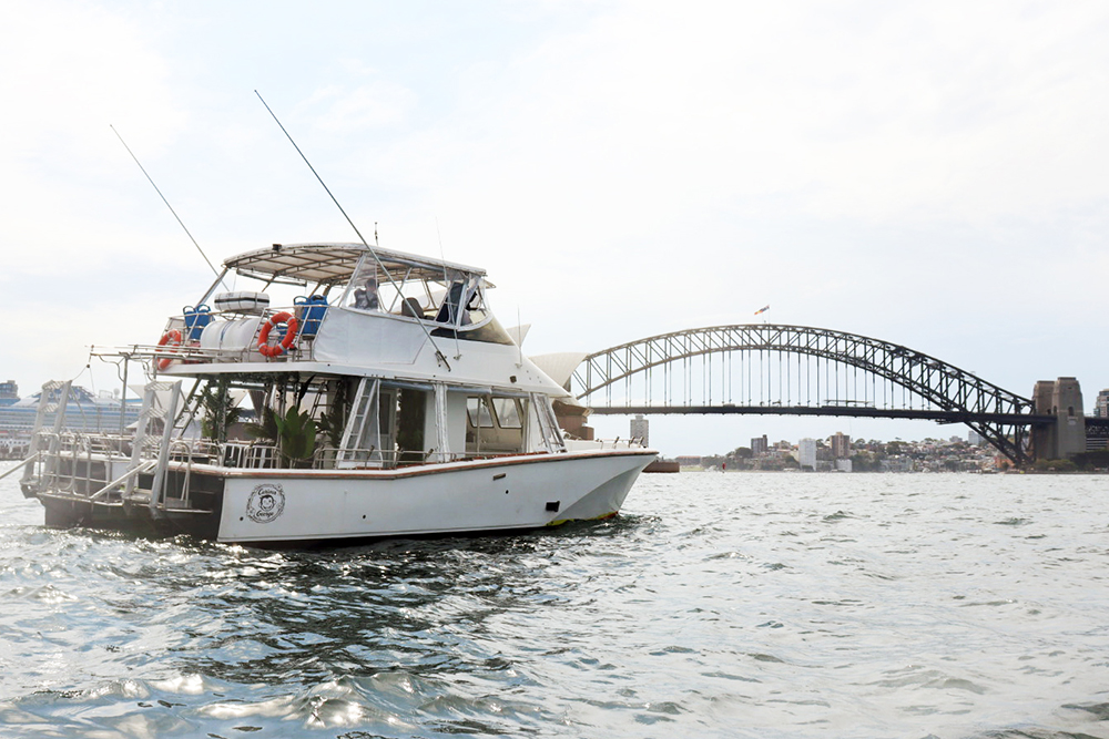 Curious George Boat Sydney 6