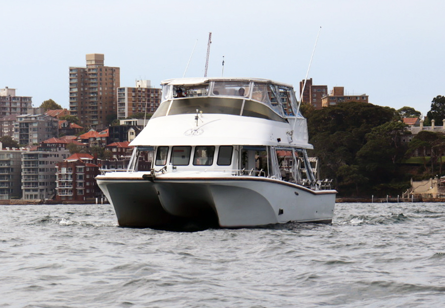 Curious George Boat Sydney 7