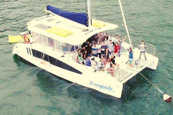 Escapade Catamaran Sydney Feature