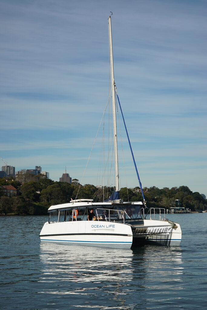 Ocean Life Boat Sydney 6