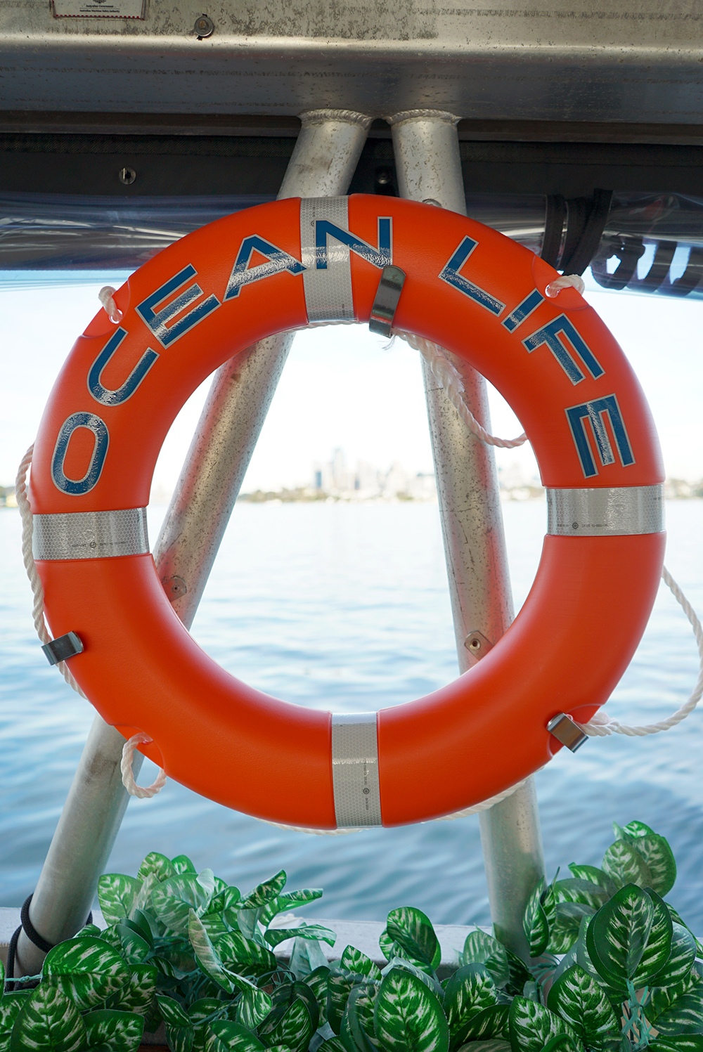 Ocean Life Boat Sydney 7