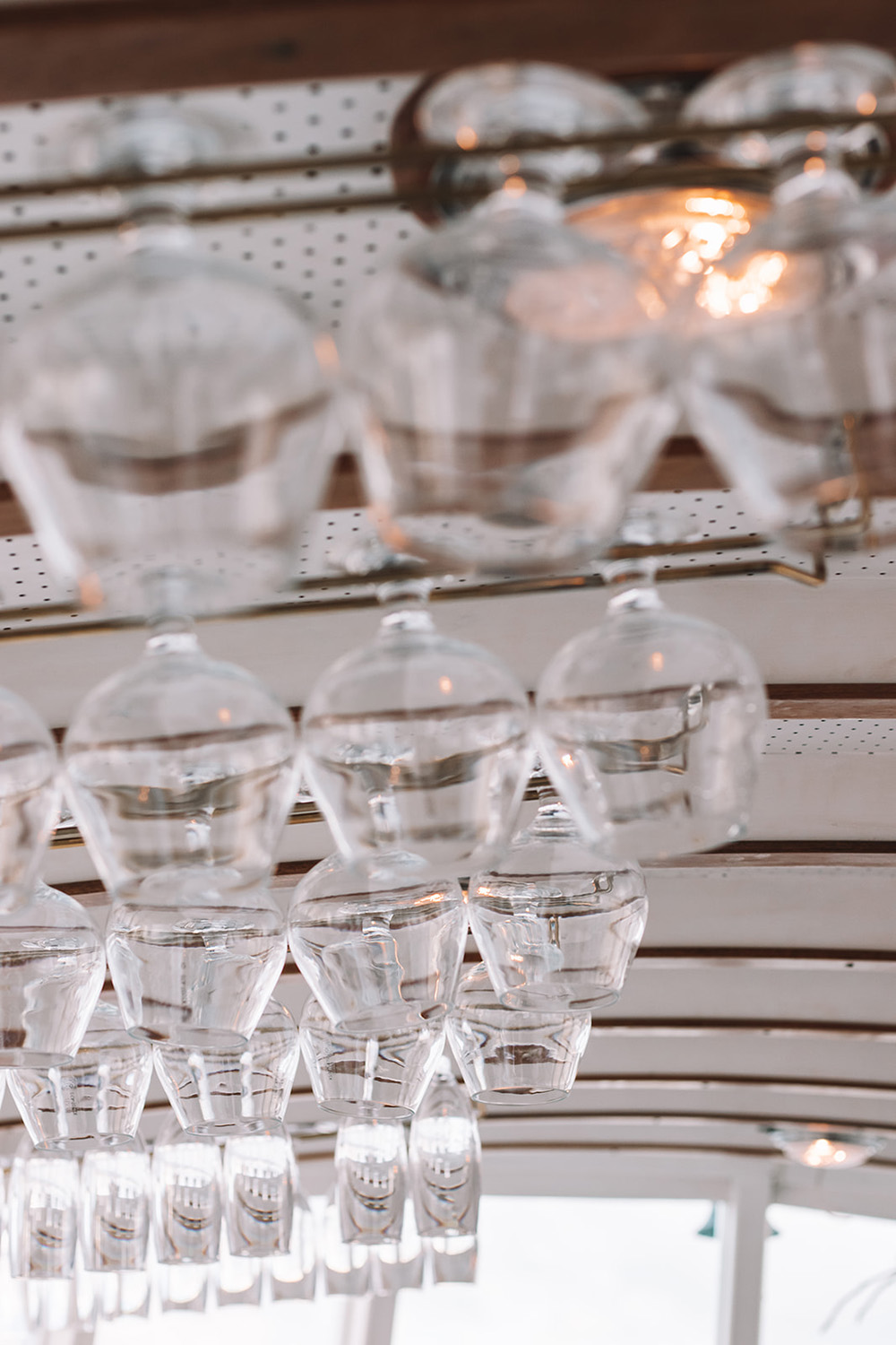 Rosie Boat Gold Coast 10