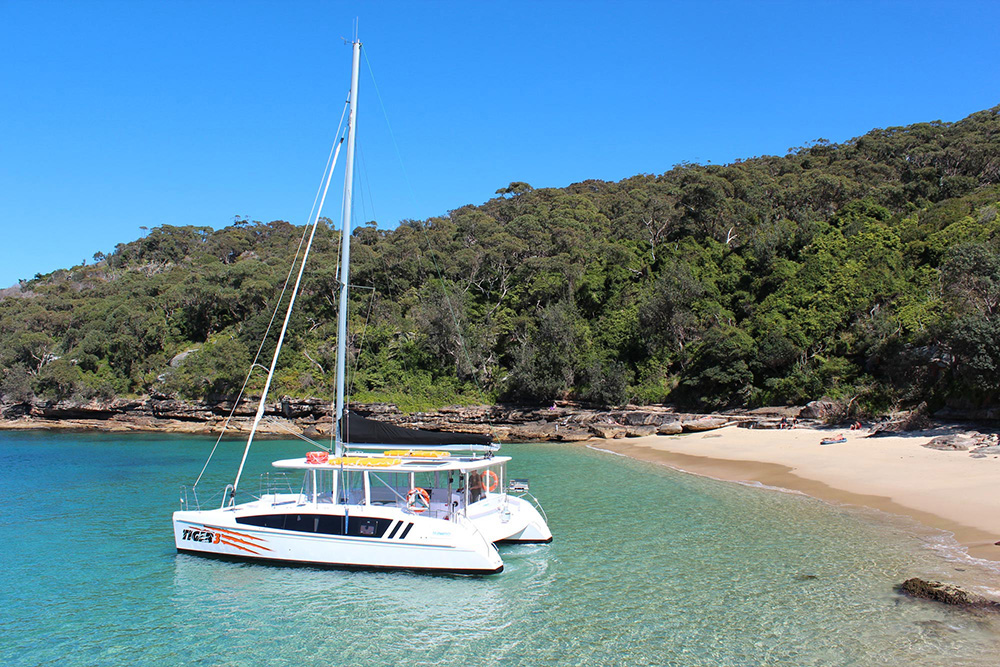 Tiger Catamaran Sydney 1