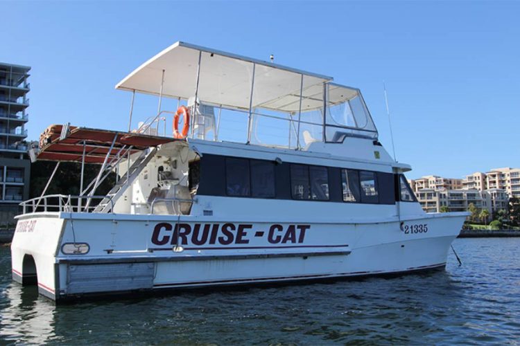 Cruise Cat 1